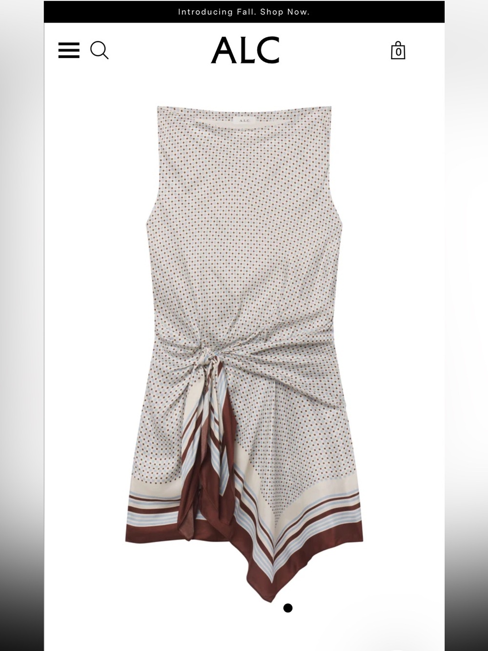 A.L.C. Dea Cream Mini Dress with Brown Border & Polka Dot Print Sz 2